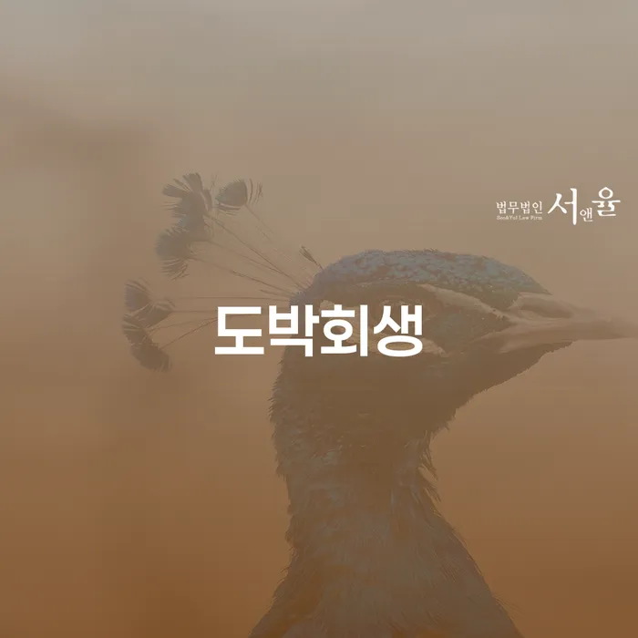 개인파산법무사 개인회생 제도 미리알기
