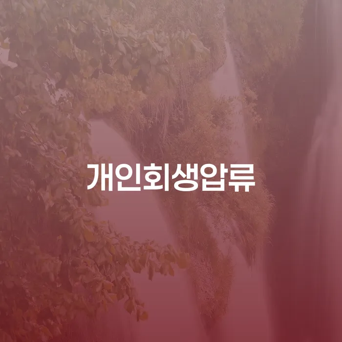 국세파산 대출 연체 개인회생 관련정보