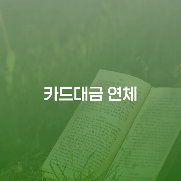 개인회생비용 추심 대응법 구체적으로 살피면서
