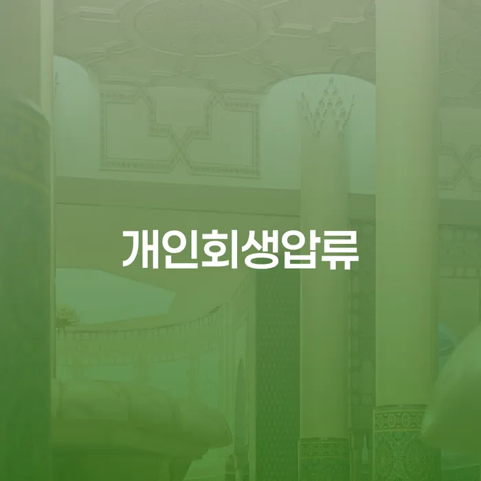 연체중대출 대출 연체 개인회생 숙지하여