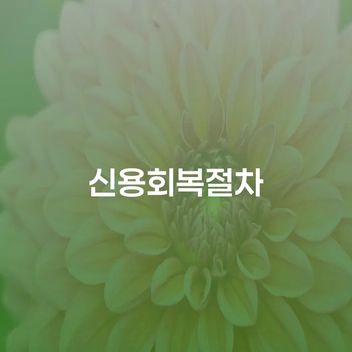 개인회생및파산 개인회생으로 방법 알아보려면