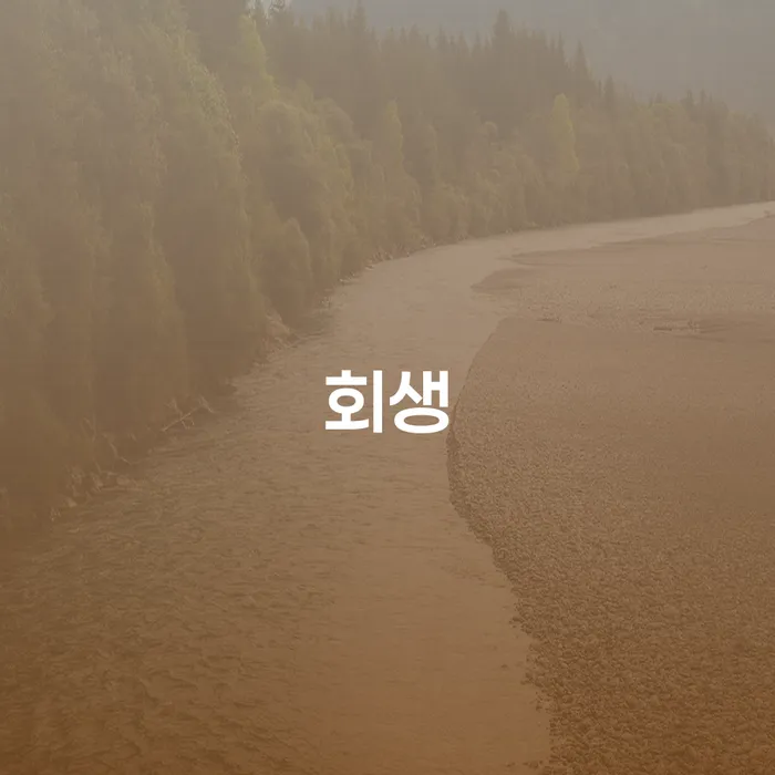 개인회생신청서류 개인회생으로 방법 신청했을 경우