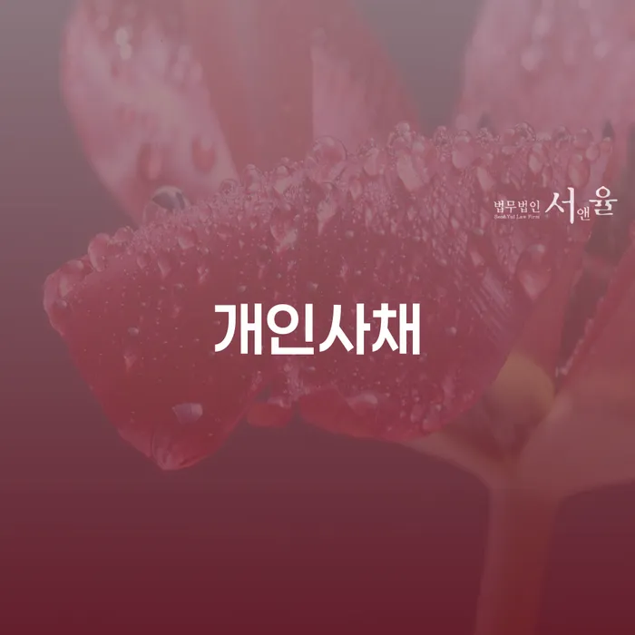 개인회생특별면책 신용회복 비교해보기