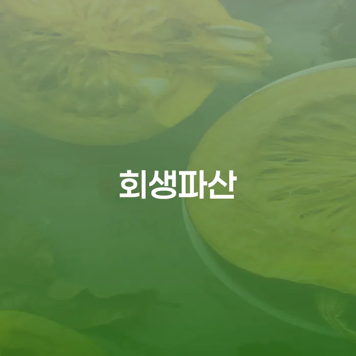 개인회생변제기간 개인회생 문제해결방법 미리알기