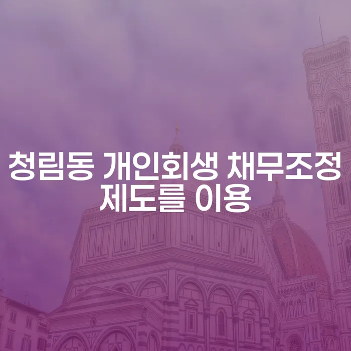 청림동 개인회생 채무조정제도를 이용