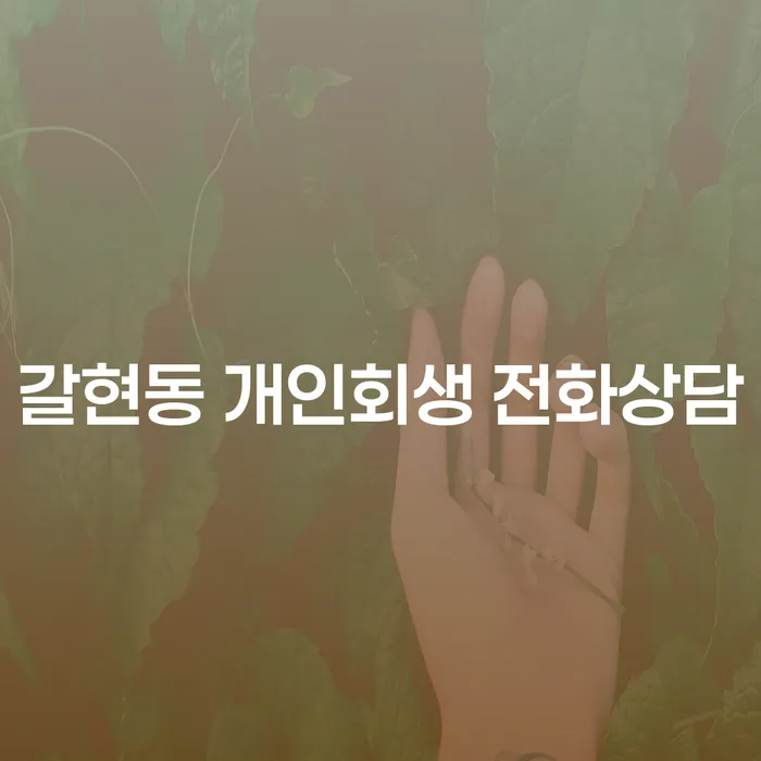 갈현동 개인회생 전화상담