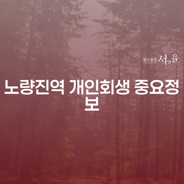 노량진역 개인회생 중요정보