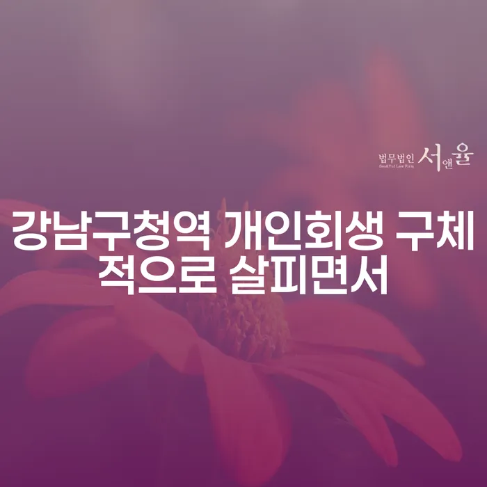 강남구청역 개인회생 구체적으로 살피면서