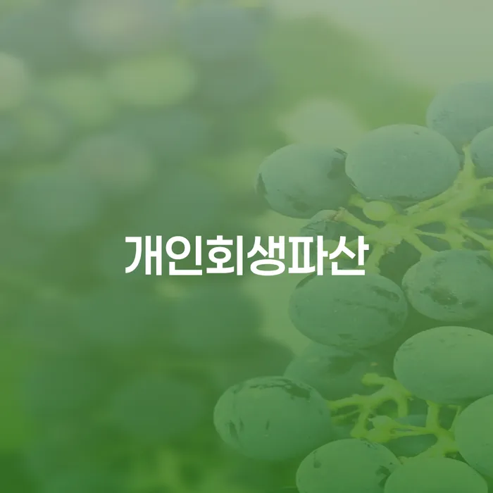 강릉시 개인회생과 파산 이해하기