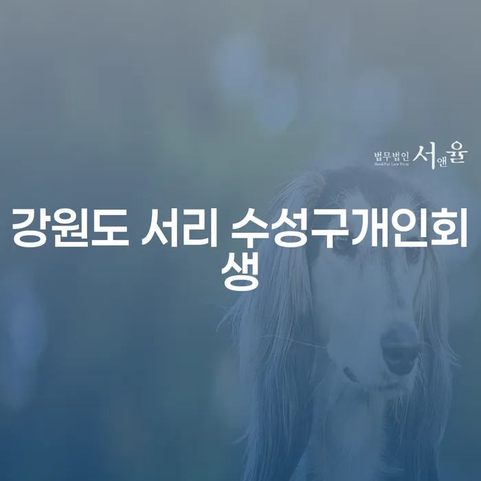 강원도 서리 수성구개인회생과 기업사채: 채무 해결을 위한 당신의 선택은?