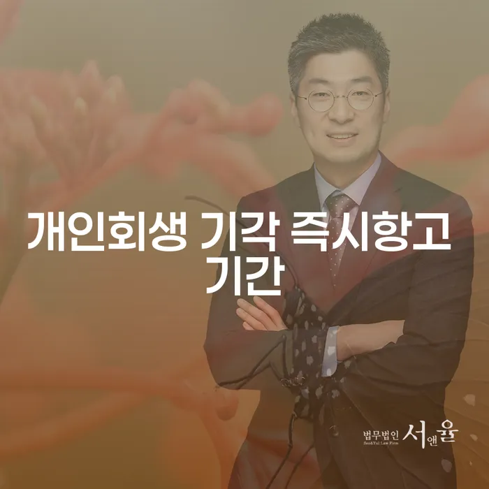 개인회생 기각 즉시항고 기간, 어떻게 대처해야 할까요?